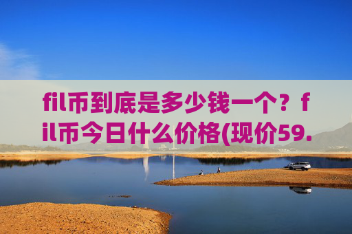 fil币到底是多少钱一个？fil币今日什么价格(现价59.463元)