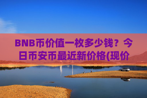 BNB币价值一枚多少钱?今日币安币最近新价格(现价5269.44元)