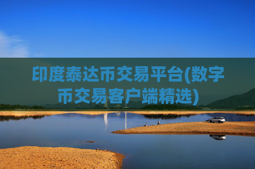 印度泰达币交易平台(数字币交易客户端精选)