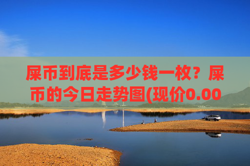 屎币到底是多少钱一枚?屎币的今日走势图(现价0.00022836元)