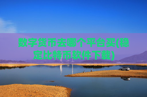 数字货币去哪个平台买(稳定比特币软件下载)