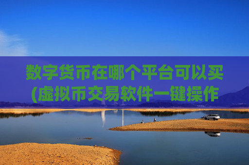 数字货币在哪个平台可以买(虚拟币交易软件一键操作)