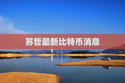 苏哲最新比特币消息