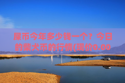 屎币今年多少钱一个？今日的柴犬币的行情(现价0.0001604元)