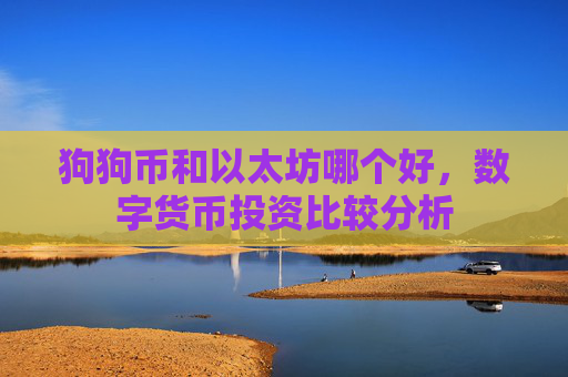 狗狗币和以太坊哪个好,数字货币投资比较分析