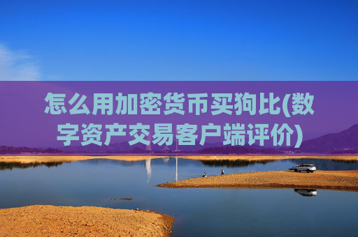 怎么用加密货币买狗比(数字资产交易客户端评价)