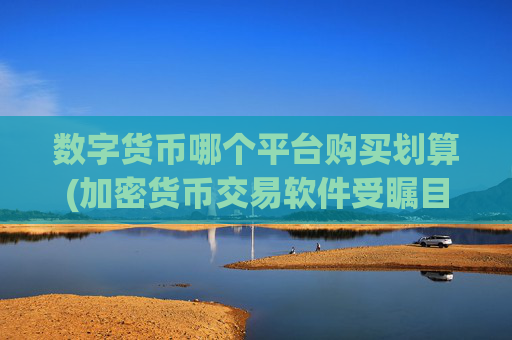 数字货币哪个平台购买划算(加密货币交易软件受瞩目)