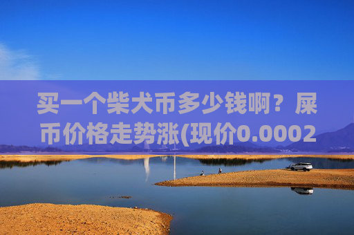 买一个柴犬币多少钱啊？屎币价格走势涨(现价0.00022938元)
