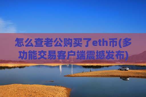 怎么查老公购买了eth币(多功能交易客户端震撼发布)