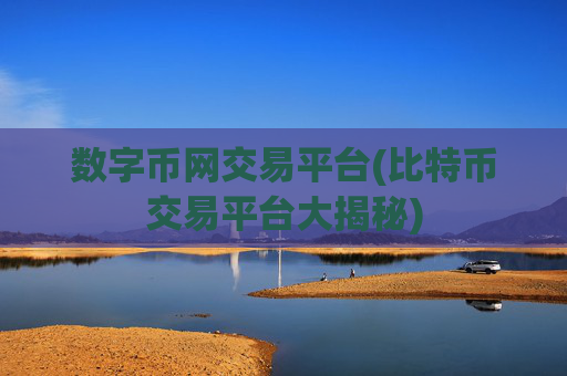 数字币网交易平台(比特币交易平台大揭秘)