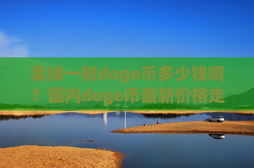 卖掉一枚doge币多少钱啊?国内doge币最新价格走势(现价3.1836元)