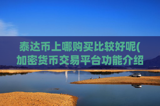 泰达币上哪购买比较好呢(加密货币交易平台功能介绍)