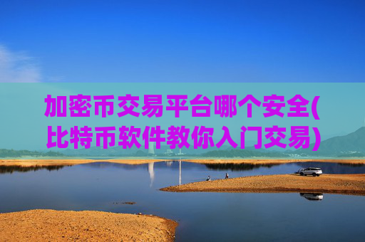 加密币交易平台哪个安全(比特币软件教你入门交易)