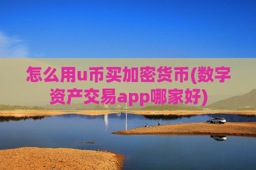 怎么用u币买加密货币(数字资产交易app哪家好)