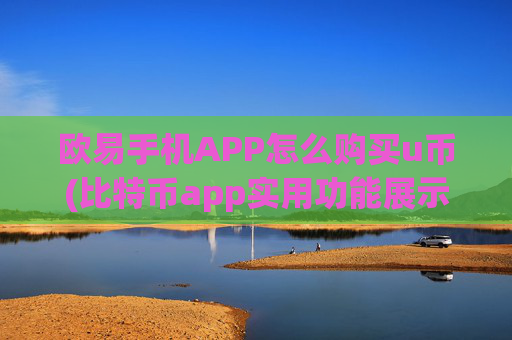 欧易手机APP怎么购买u币(比特币app实用功能展示)