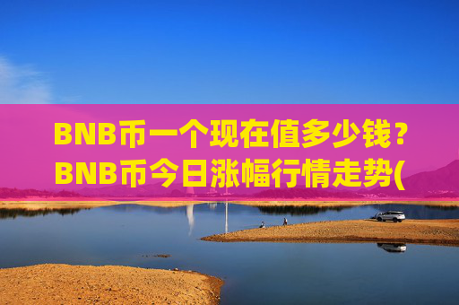BNB币一个现在值多少钱?BNB币今日涨幅行情走势(现价4833.71元)