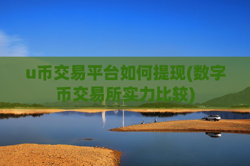 u币交易平台如何提现(数字币交易所实力比较)