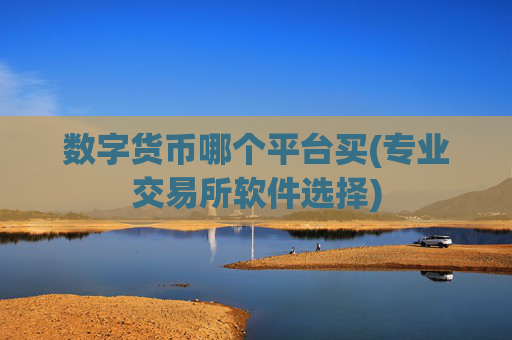 数字货币哪个平台买(专业交易所软件选择)