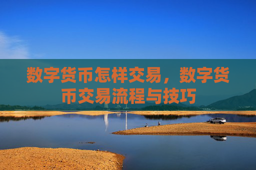 数字货币怎样交易,数字货币交易流程与技巧