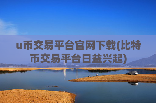 u币交易平台官网下载(比特币交易平台日益兴起)