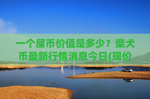 一个屎币价值是多少?柴犬币最新行情消息今日(现价0.00023237元)