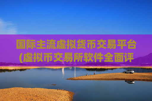 国际主流虚拟货币交易平台(虚拟币交易所软件全面评测)