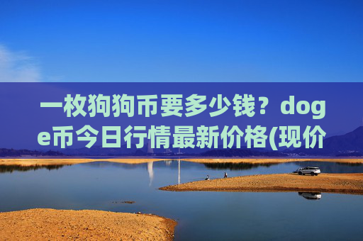 一枚狗狗币要多少钱?doge币今日行情最新价格(现价3.2199元)