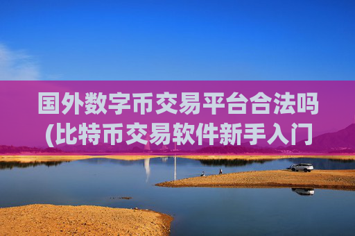 国外数字币交易平台合法吗(比特币交易软件新手入门)