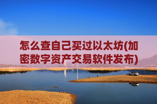 怎么查自己买过以太坊(加密数字资产交易软件发布)