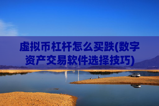 虚拟币杠杆怎么买跌(数字资产交易软件选择技巧)
