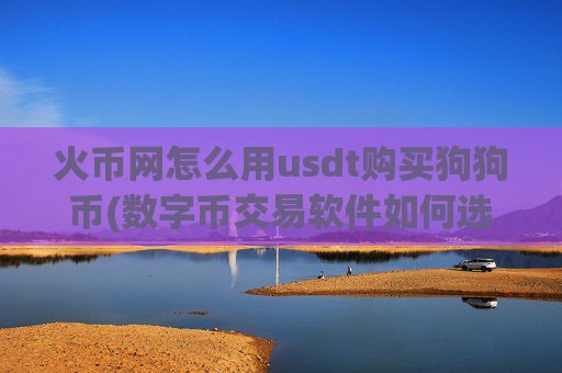火币网怎么用usdt购买狗狗币(数字币交易软件如何选择)