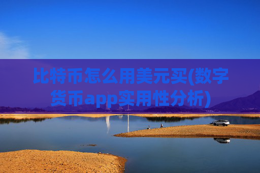 比特币怎么用美元买(数字货币app实用性分析)