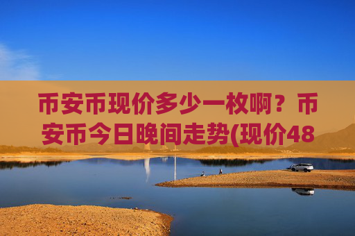 币安币现价多少一枚啊？币安币今日晚间走势(现价4844.58元)