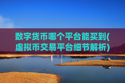 数字货币哪个平台能买到(虚拟币交易平台细节解析)