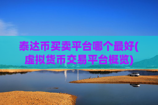泰达币买卖平台哪个最好(虚拟货币交易平台概览)