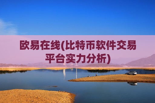 欧易在线(比特币软件交易平台实力分析)