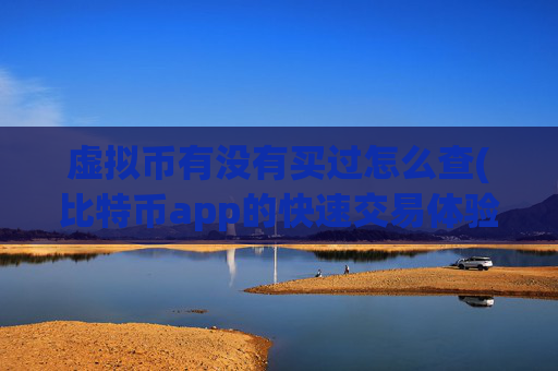 虚拟币有没有买过怎么查(比特币app的快速交易体验)
