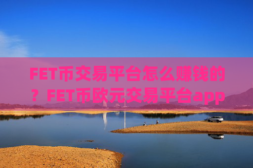 FET币交易平台怎么赚钱的？FET币欧元交易平台app