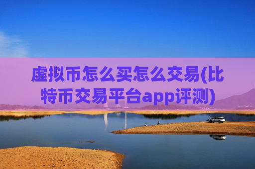 虚拟币怎么买怎么交易(比特币交易平台app评测)