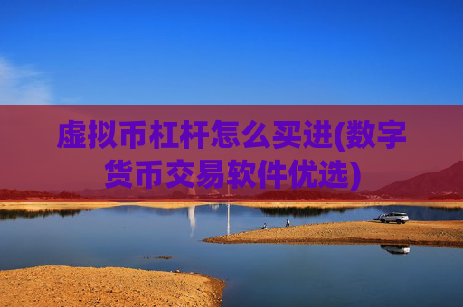 虚拟币杠杆怎么买进(数字货币交易软件优选)