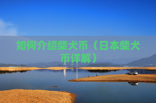 如何介绍柴犬币（日本柴犬币详解）