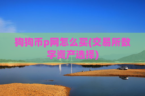 狗狗币p网怎么买(交易所数字资产选择)
