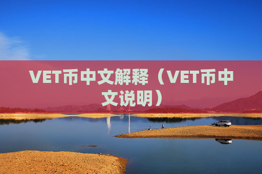 VET币中文解释(VET币中文说明)