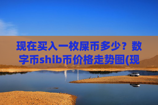现在买入一枚屎币多少?数字币shib币价格走势图(现价0.0001615元)