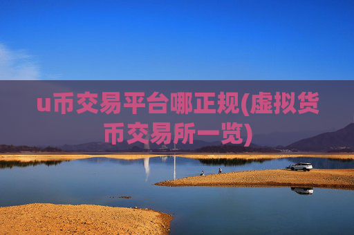 u币交易平台哪正规(虚拟货币交易所一览)