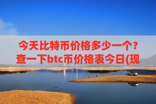 今天比特币价格多少一个?查一下btc币价格表今日(现价746495.78元)