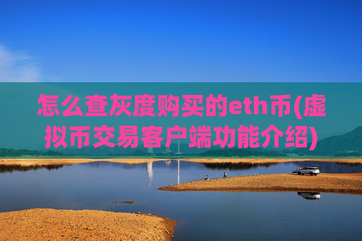 怎么查灰度购买的eth币(虚拟币交易客户端功能介绍)