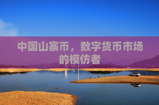 中国山寨币,数字货币市场的模仿者