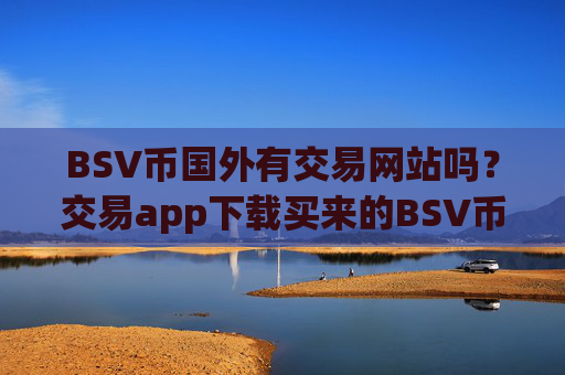 BSV币国外有交易网站吗?交易app下载买来的BSV币