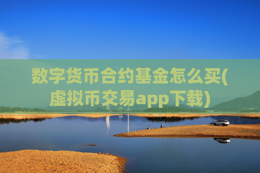 数字货币合约基金怎么买(虚拟币交易app下载)